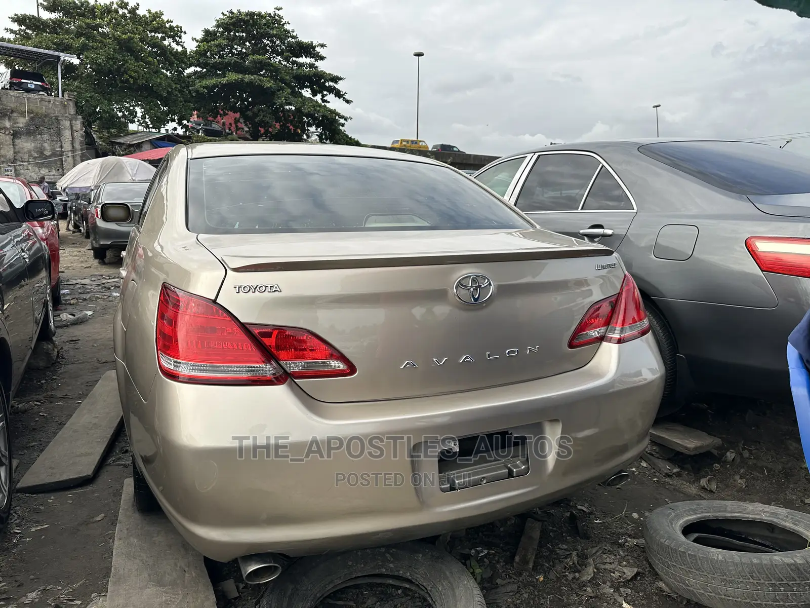 Toyota Avalon Limited 2007 Gold