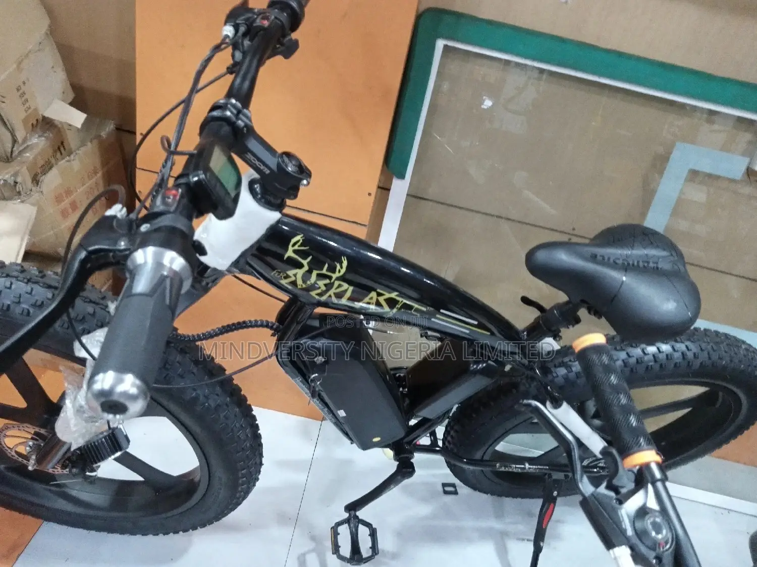 Electric Bicycle Fat Giant Tyre