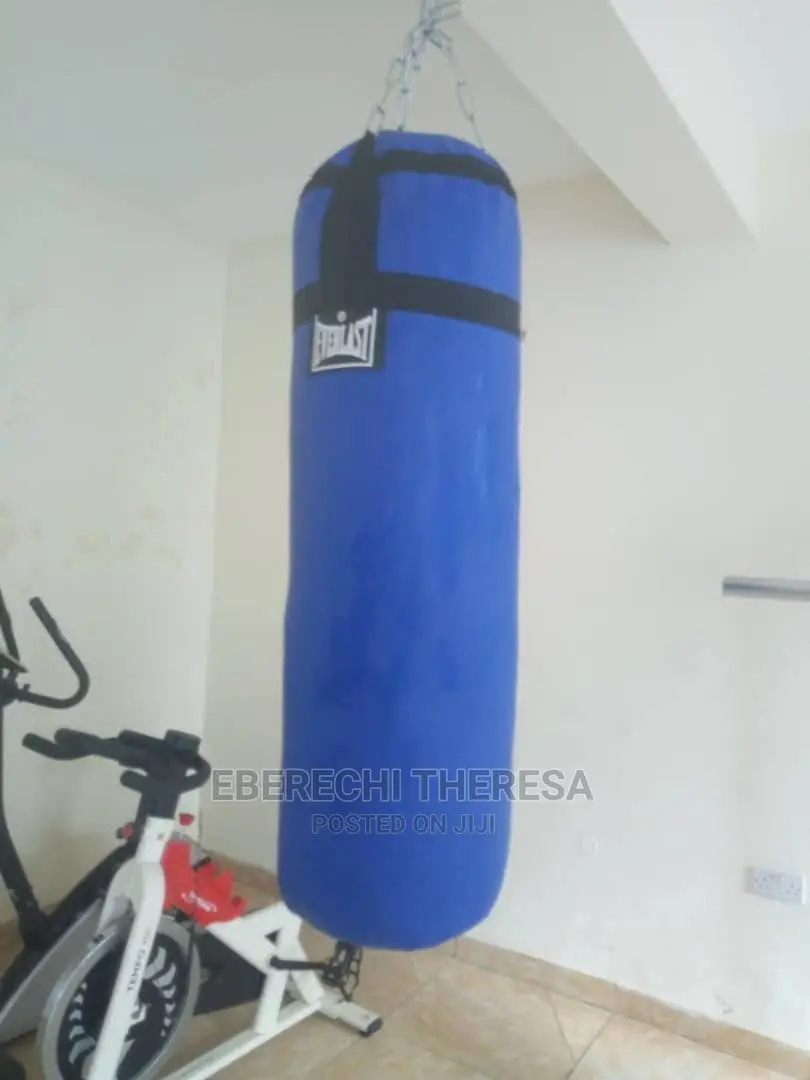 Biig Size Everlast Punching Bag