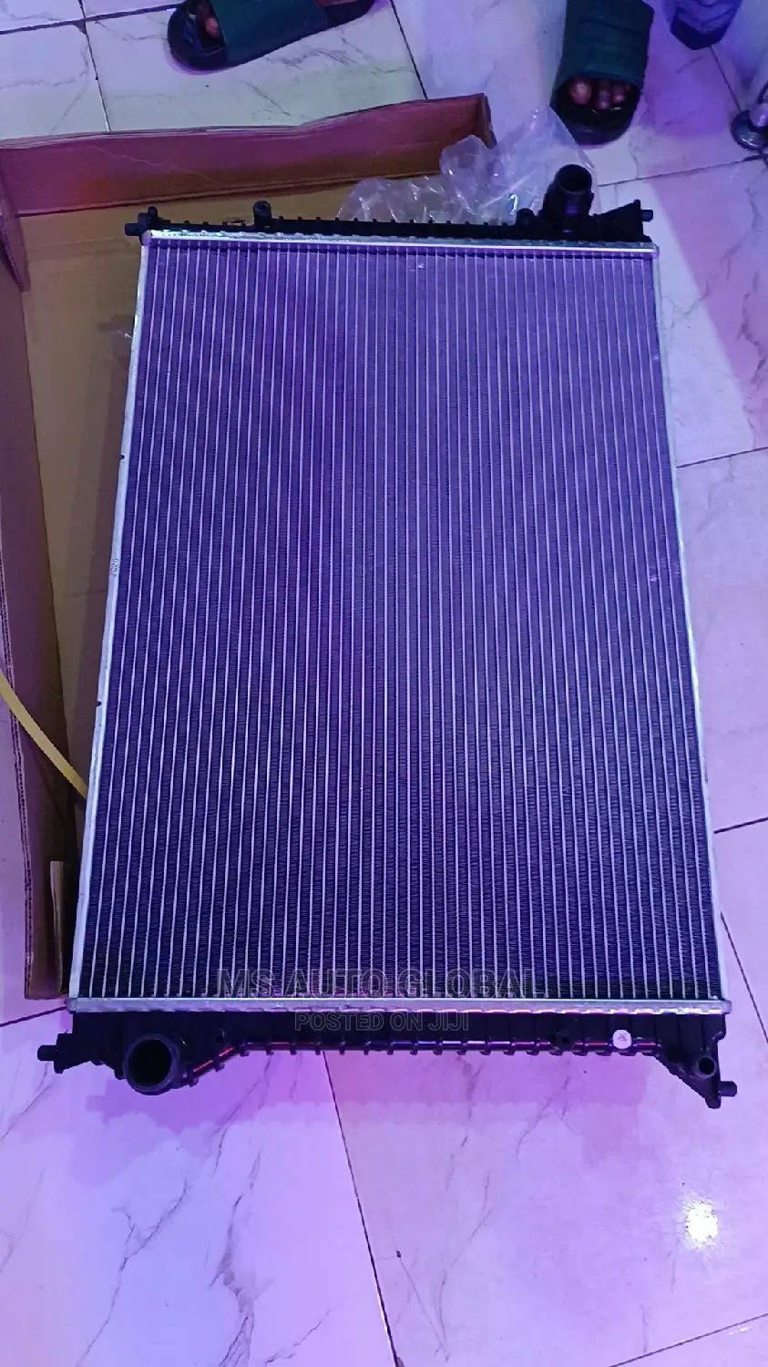 Bentley Radiator