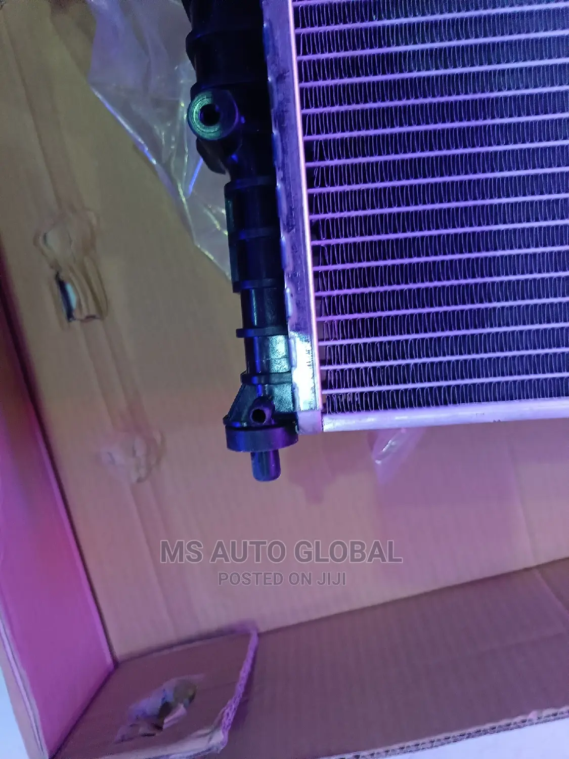 Bentley Radiator