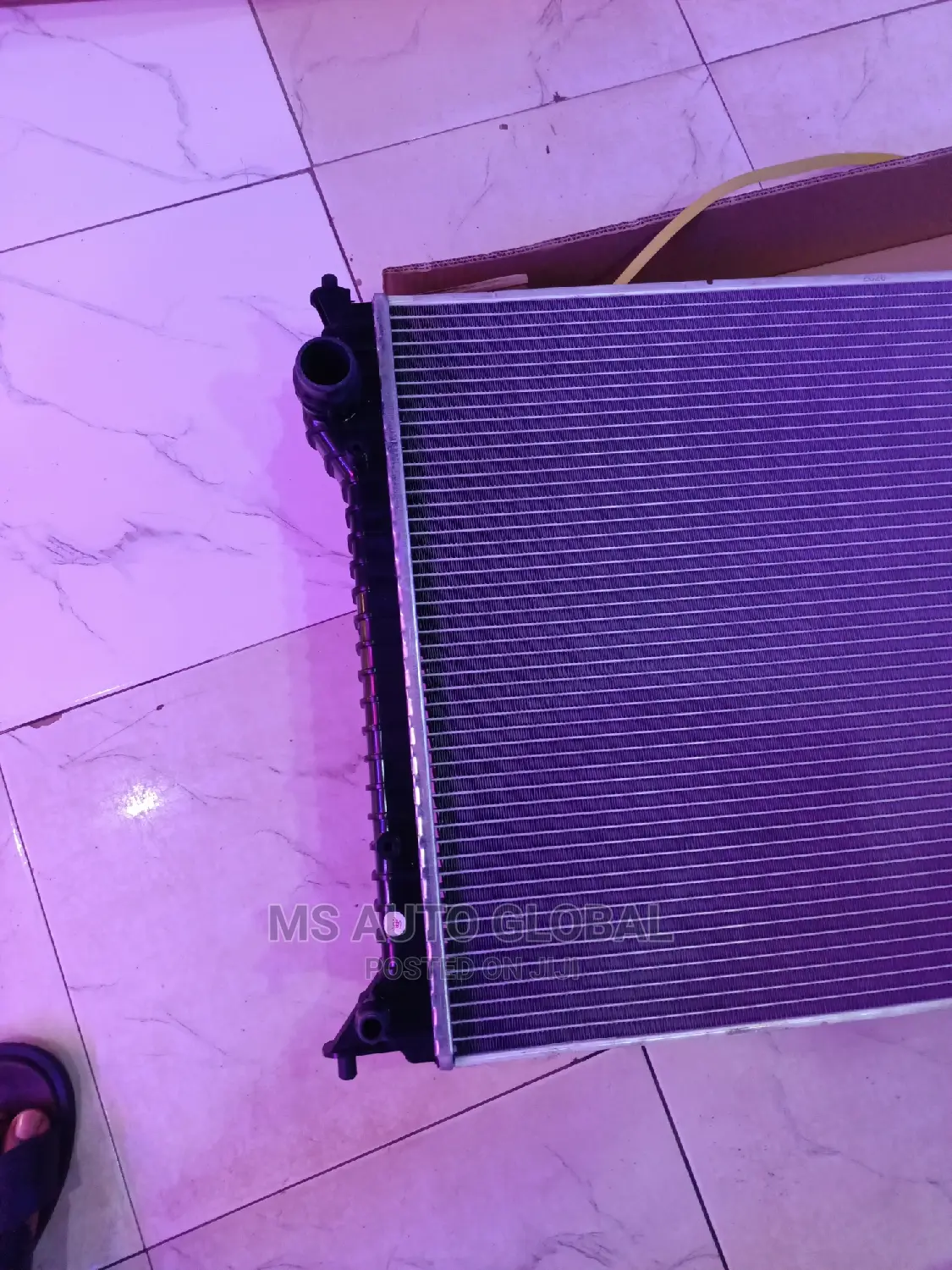 Bentley Radiator