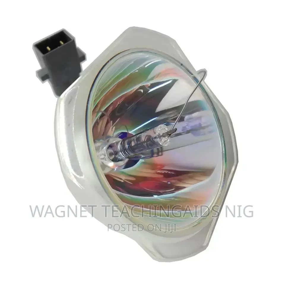 Projector Lamp Replacement and Services