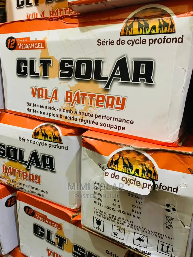 220 Arms GLT Solar Dry Battery