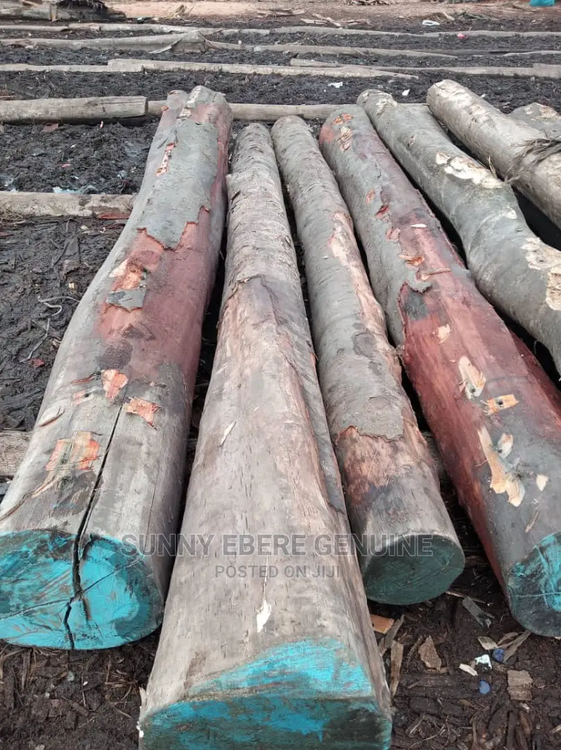 Wood Log, Woden Log, Hardwood Log, Hard Wood