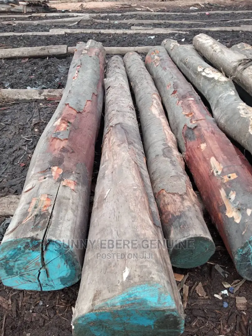 Wood Log, Woden Log, Hardwood Log, Hard Wood