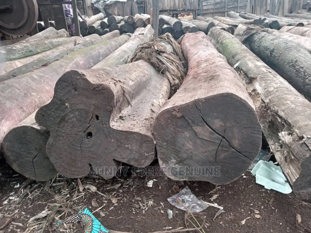 Wood Log, Woden Log, Hardwood Log, Hard Wood