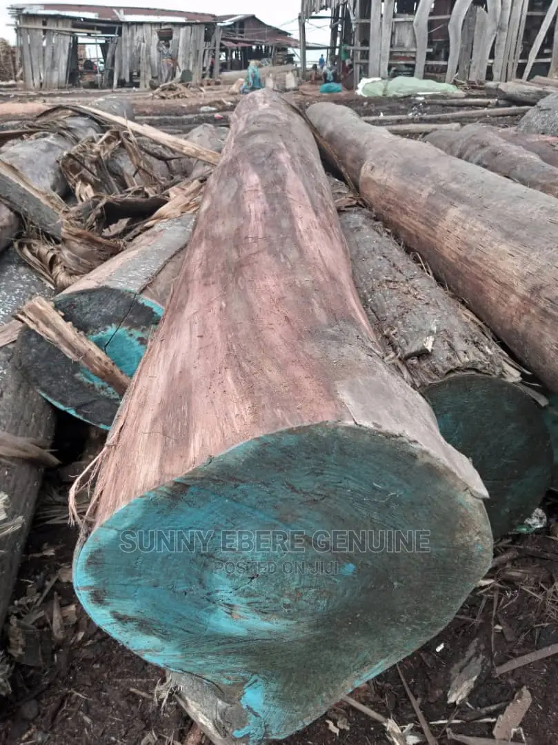 Wood Log, Woden Log, Hardwood Log, Hard Wood