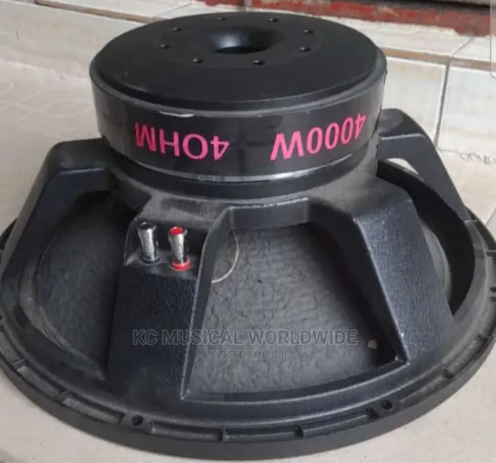 Oceanic 18"Big Magnet and Big Coil