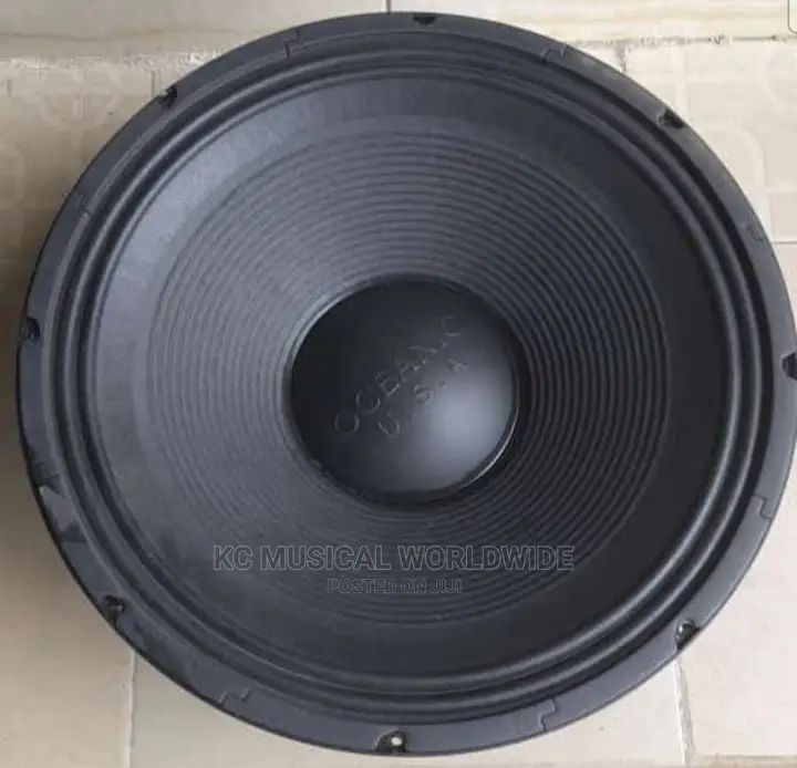 Oceanic 18"Big Magnet and Big Coil