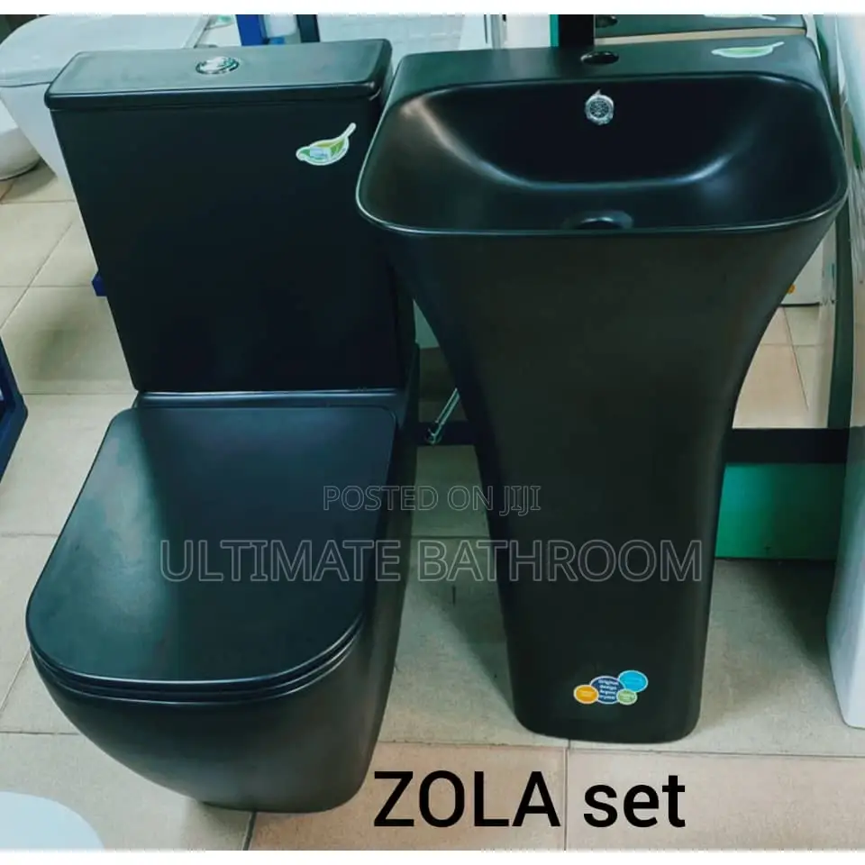 Black Watercloset With Standing Basin