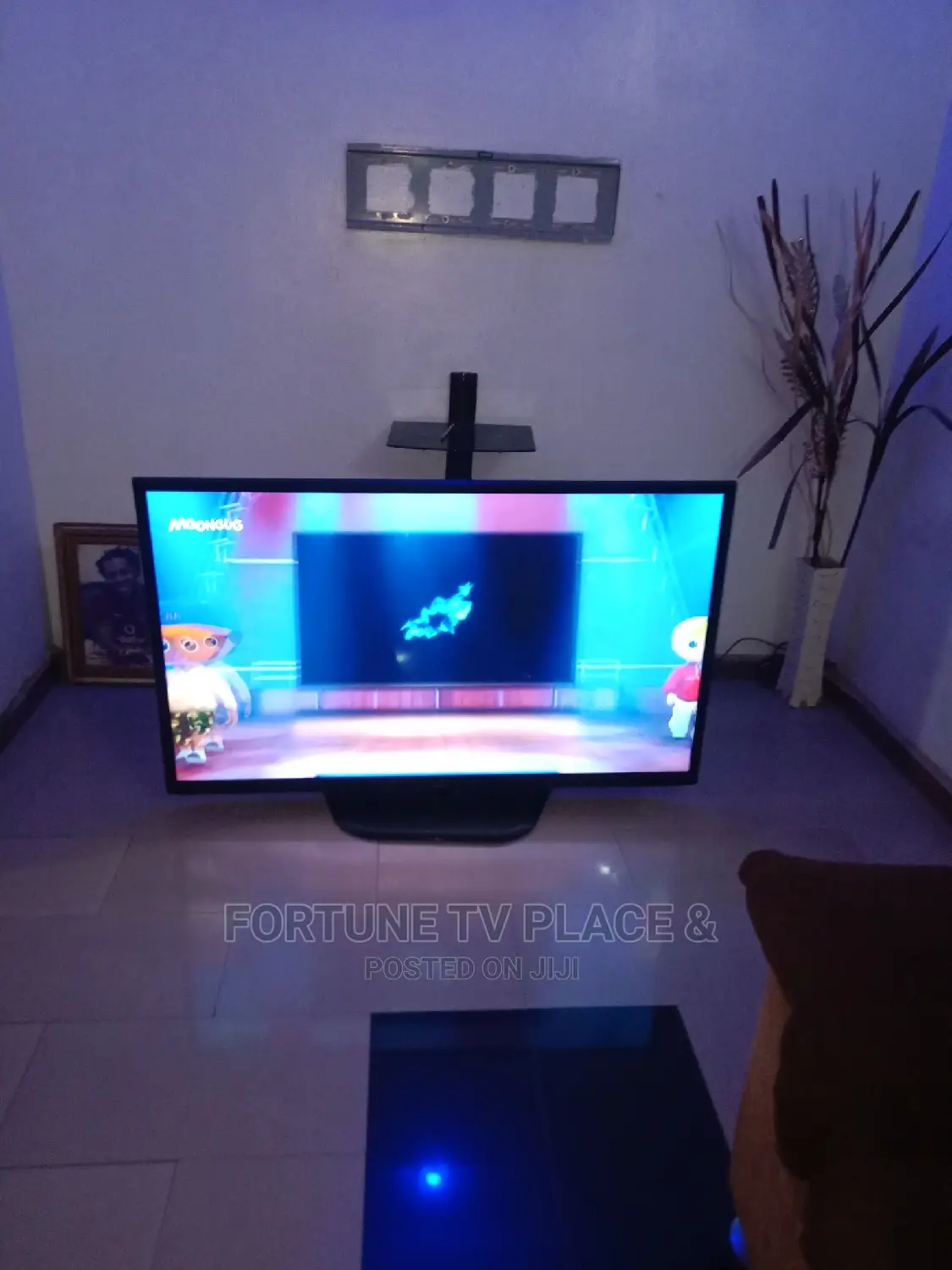 TVS Repairs and Services