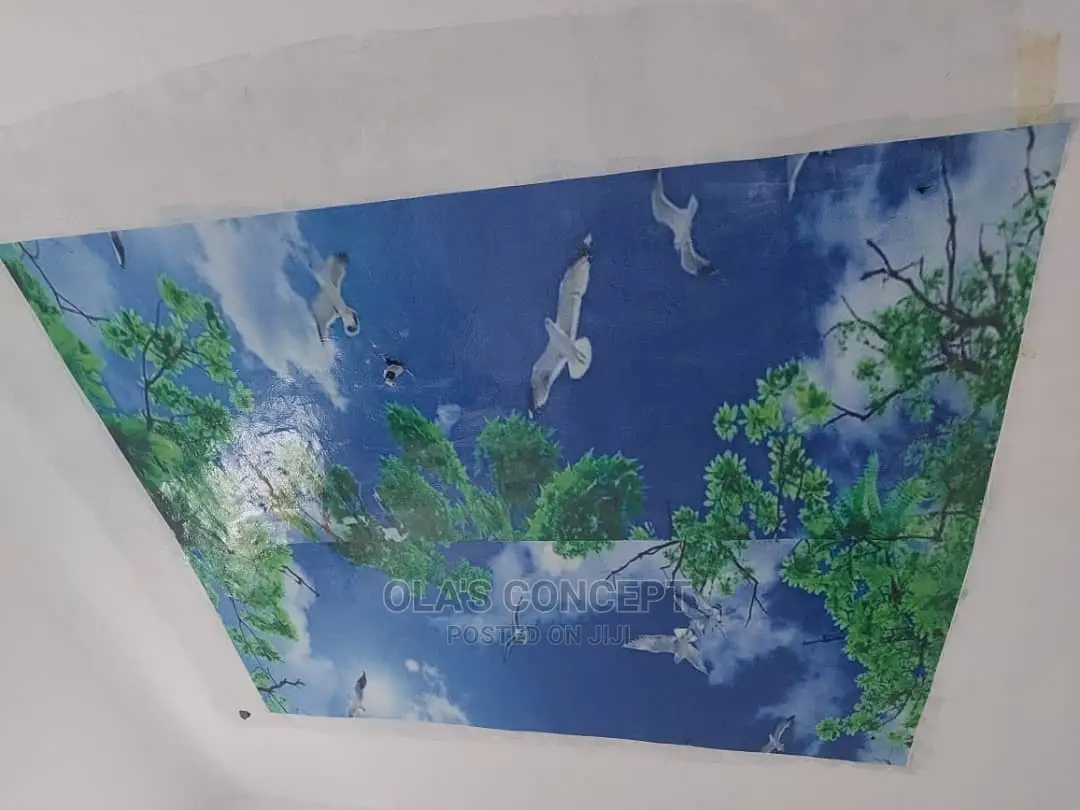 Quality Epoxy 3d Celling