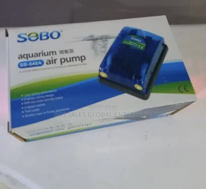 Double Outlet Air Pump
