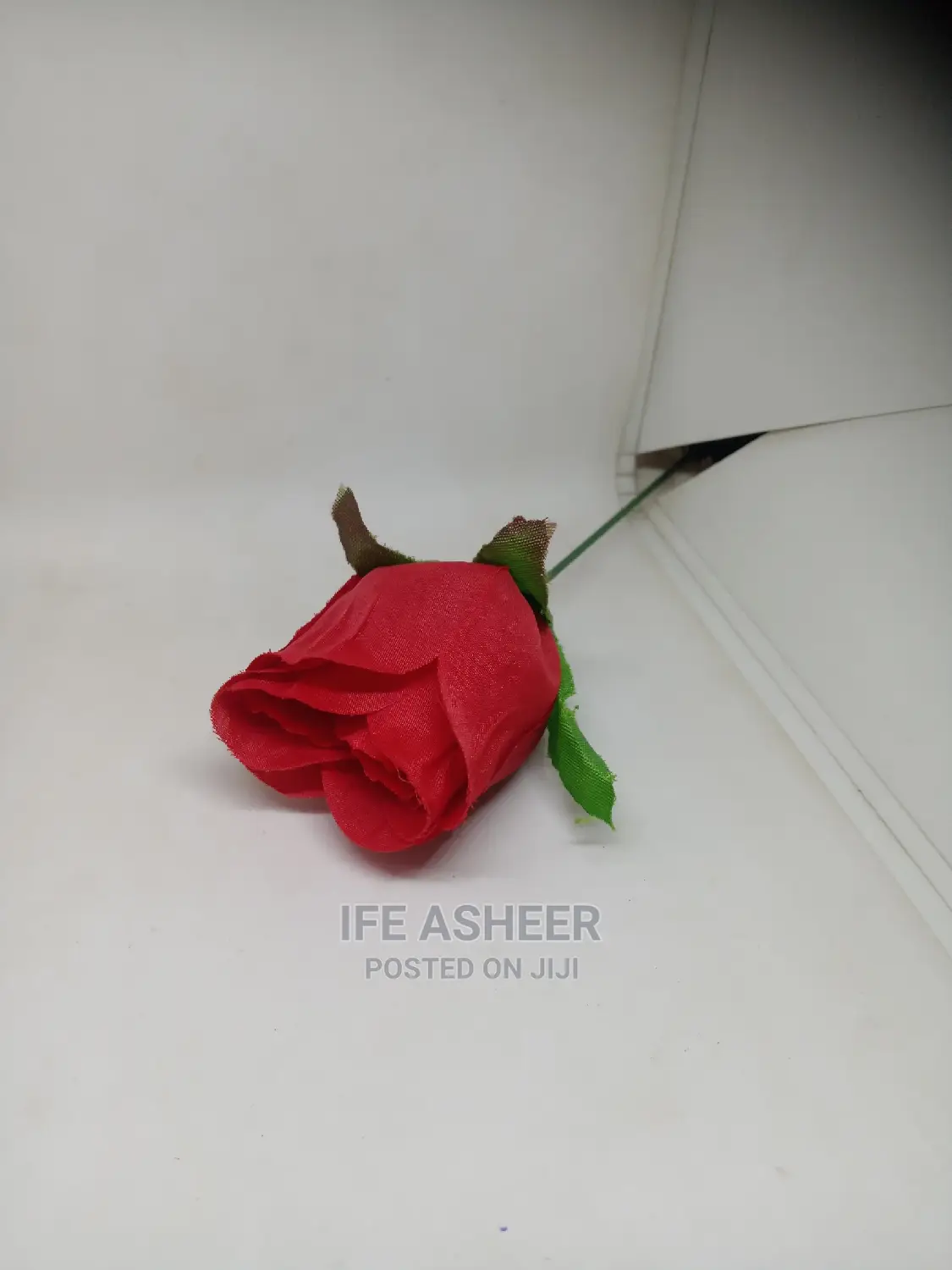 Romantic Simple Flower in a Fancy Bag 004