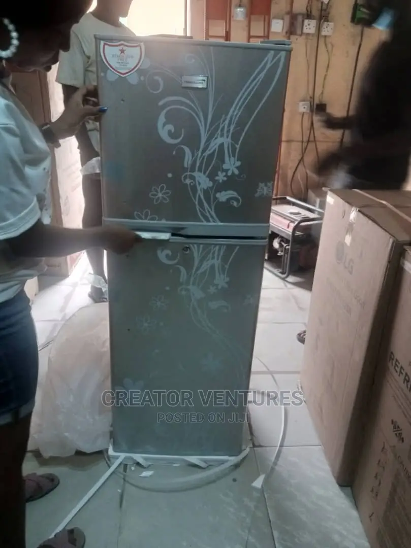 LG Double Door Refrigerator Fast Cooling,Low Voltage,Flower.