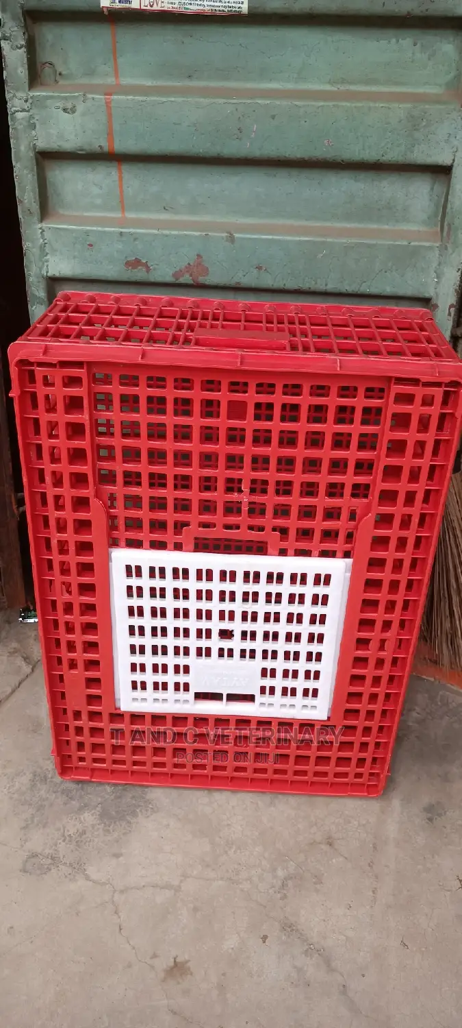 Chicken Carrier Transport Crate 75*55*33cm