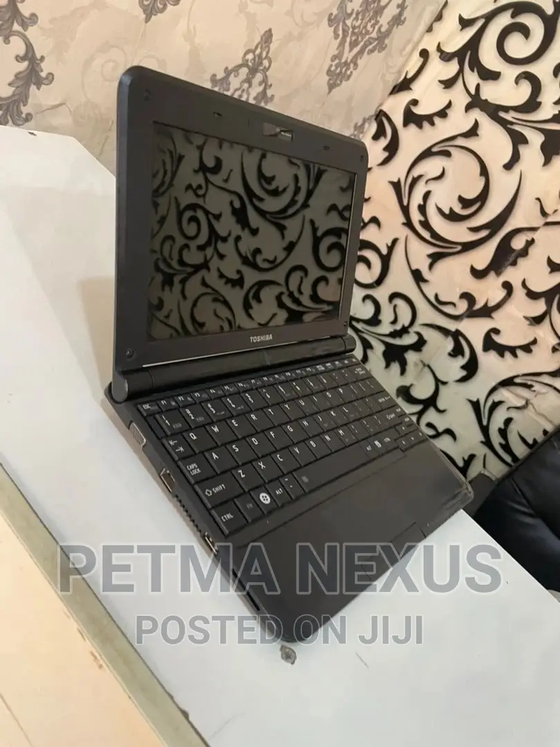 Laptop Toshiba NB505 Mini 2GB Intel Atom HDD 160GB