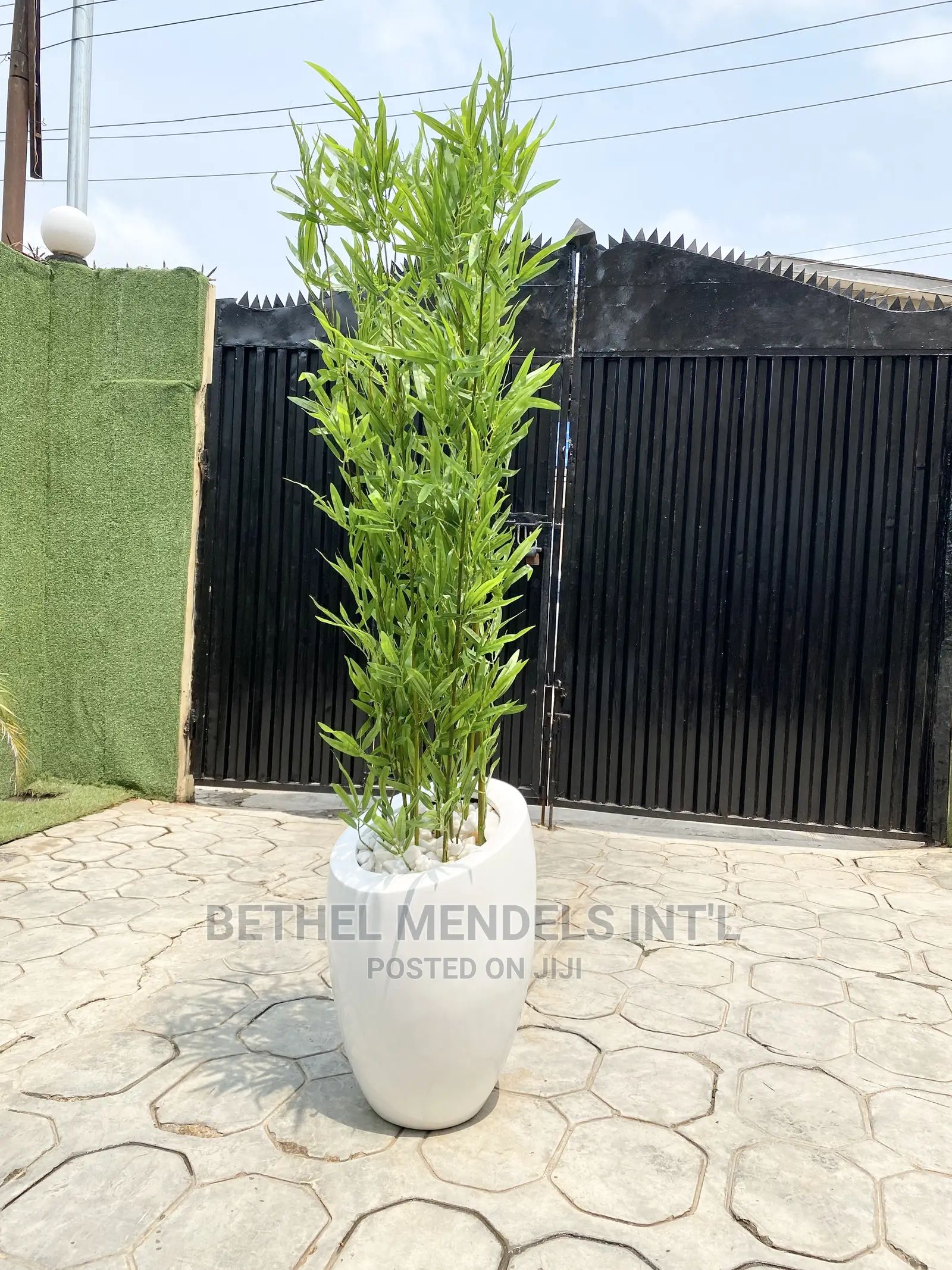 Fiberglass Flower Pots/Planter/Vases | Bulk Sales of Plants