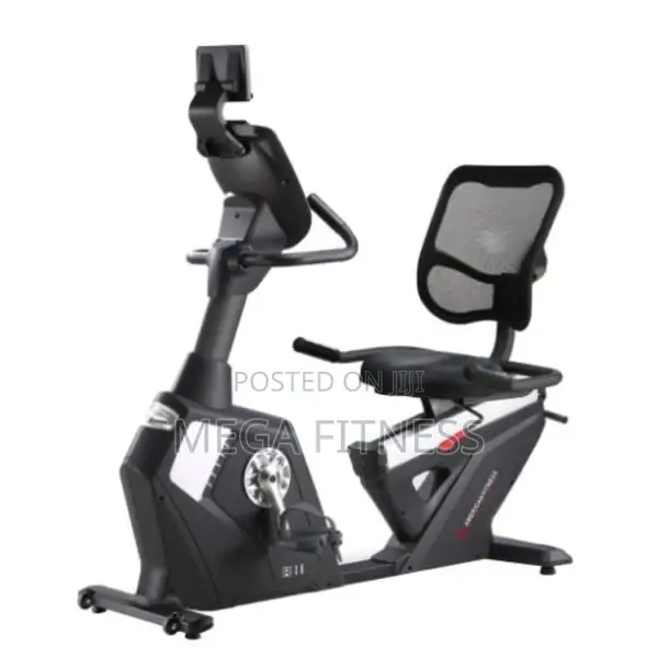 Recumbent Bike