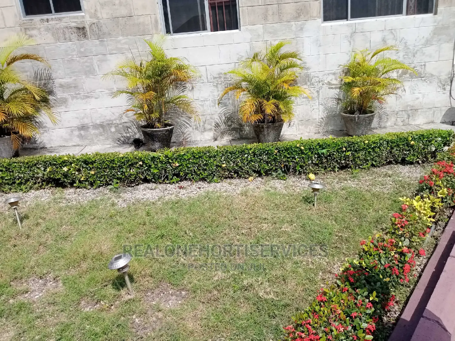 Landscape Plants (Ornamental) for Your Habitable Living