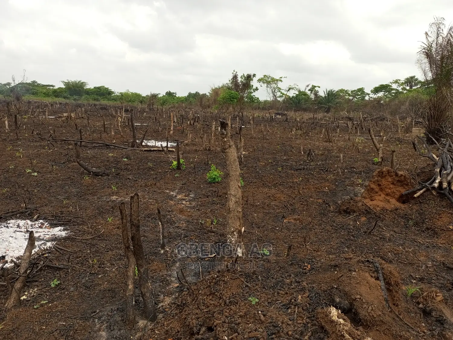 Acres of Land for Sale
