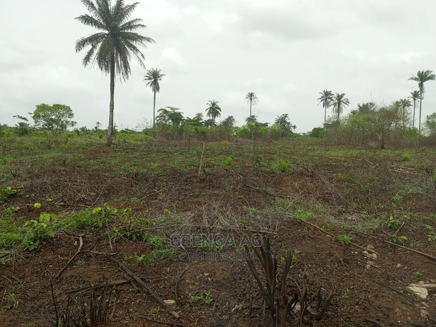 Acres of Land for Sale