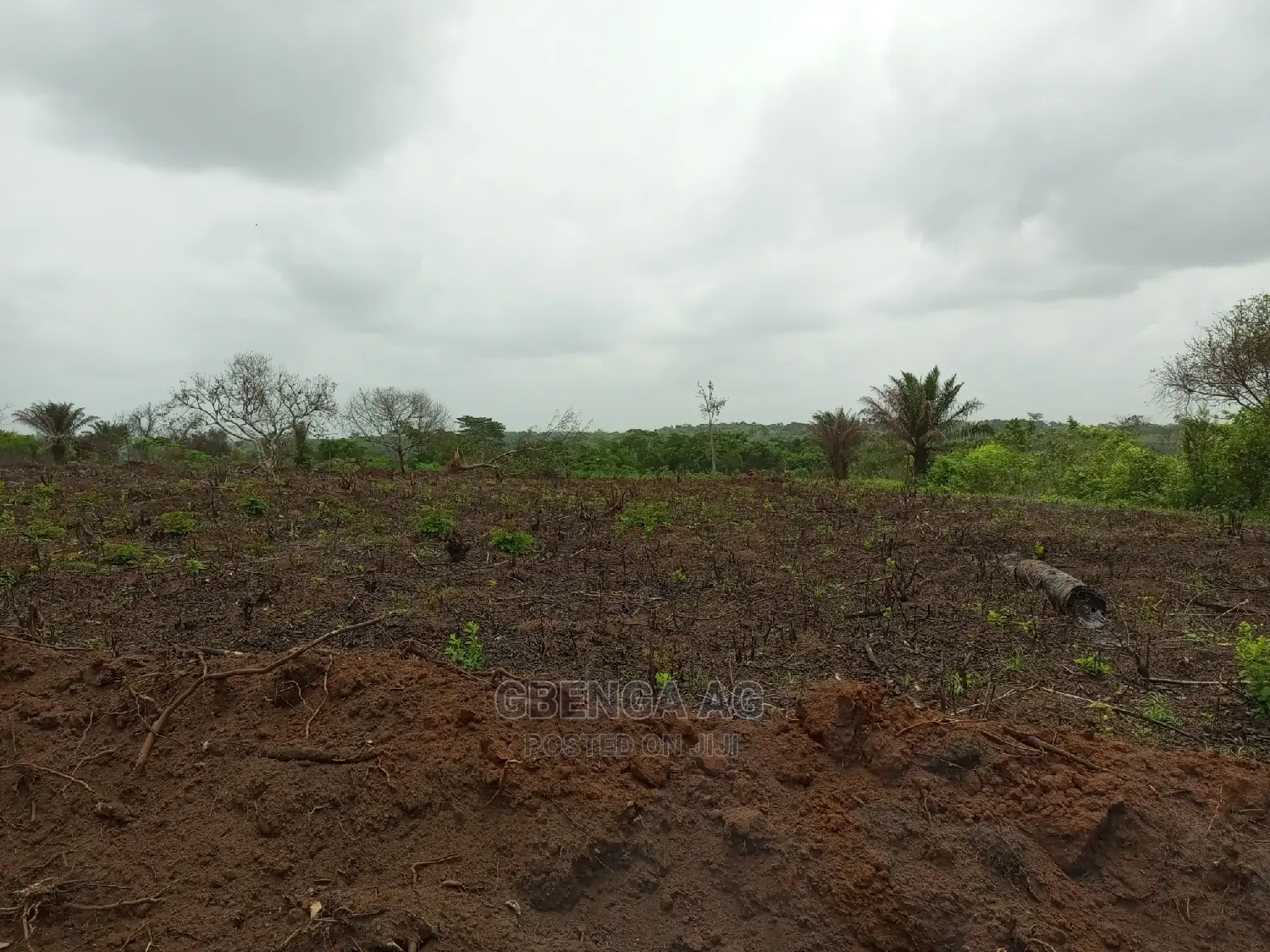 Acres of Land for Sale