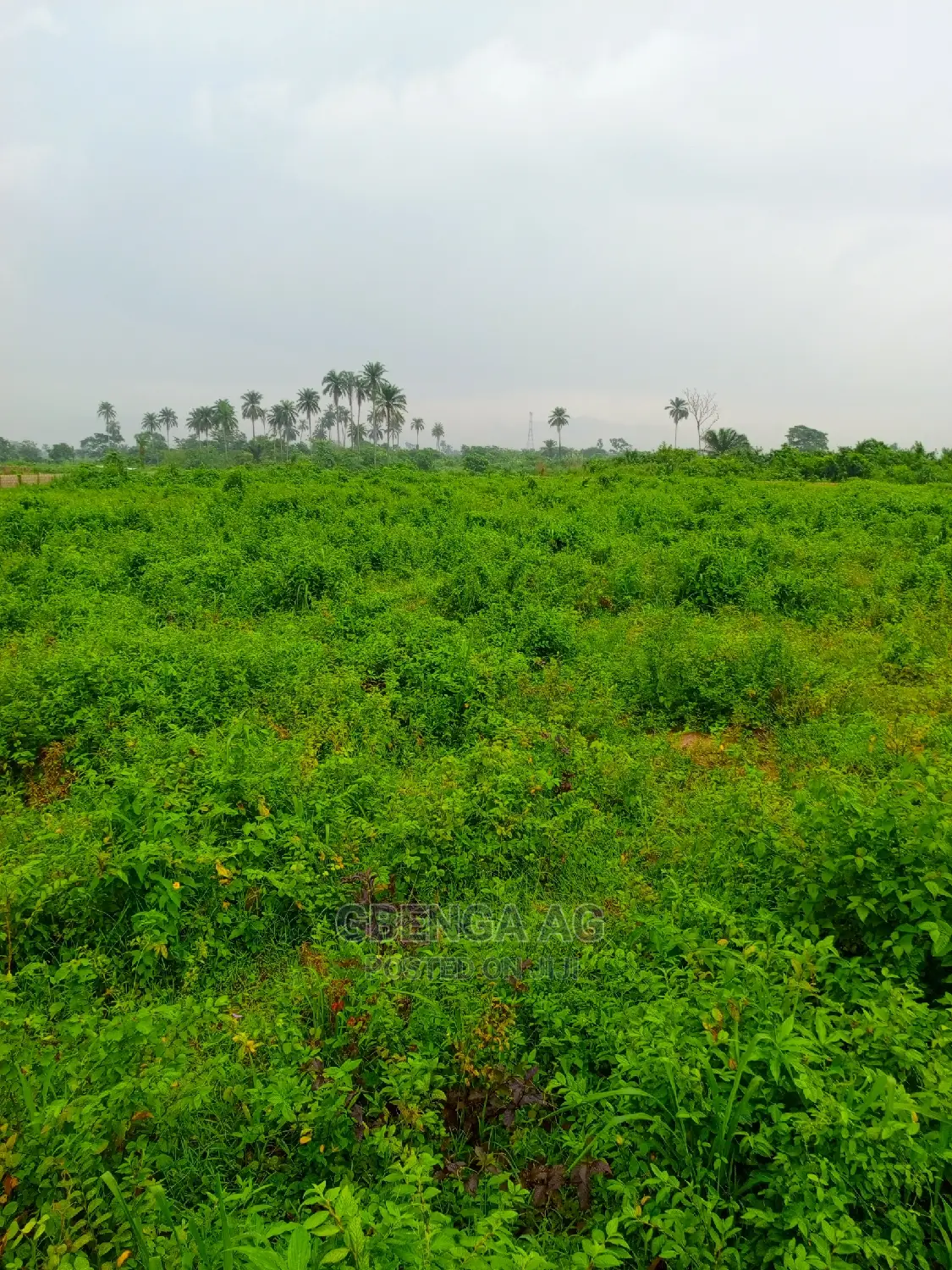 Plots of Land for Sale at Epe