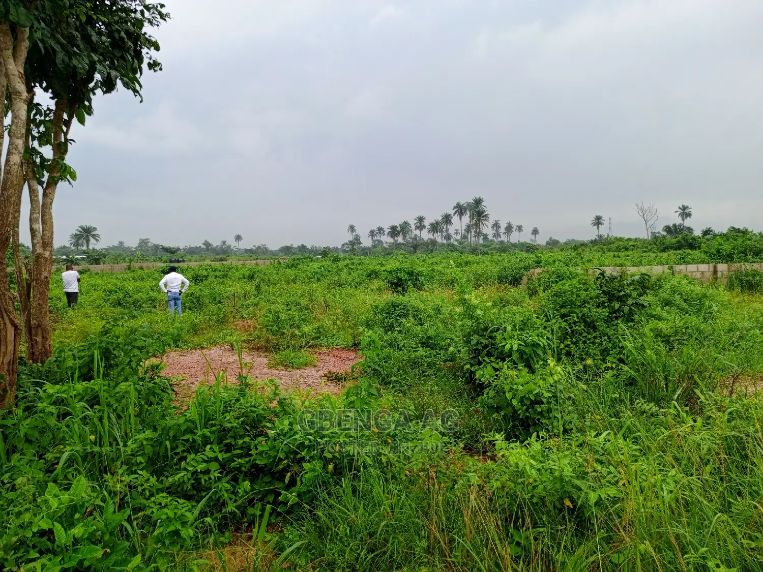 Plots of Land for Sale at Epe