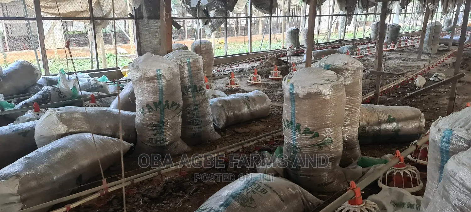 Chicken Manure, Dried Poultry Dropping