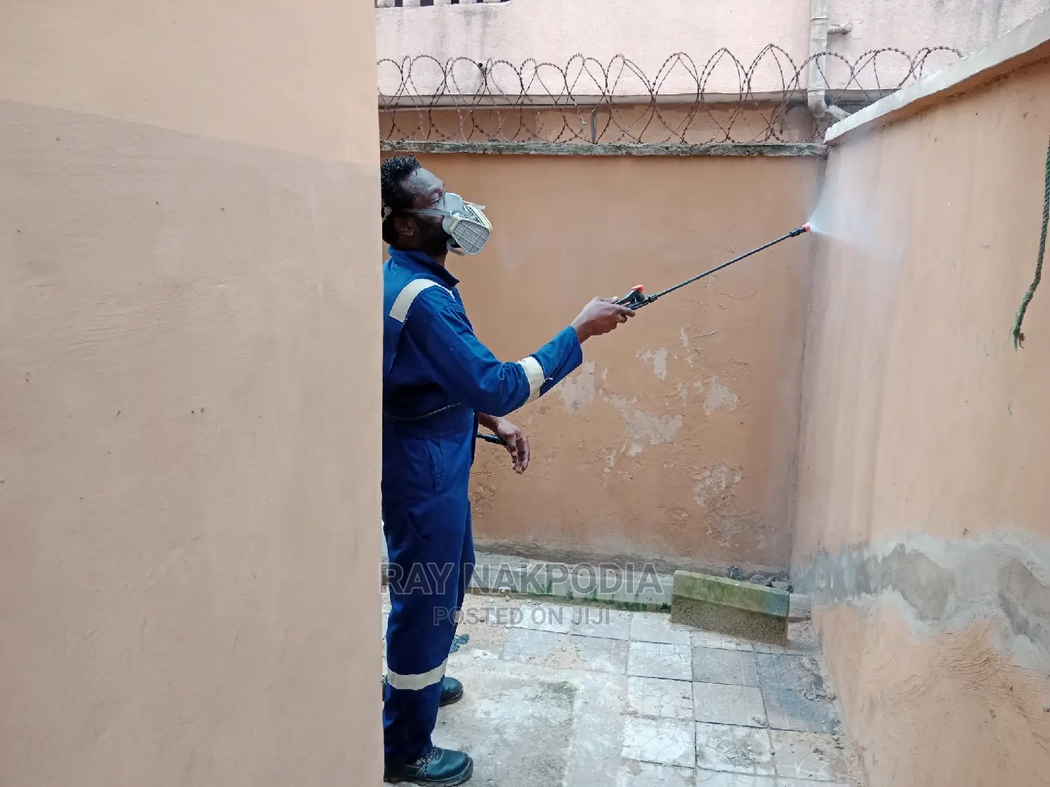 Fumigation Services