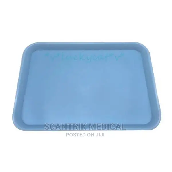 Dental Instruments Tray