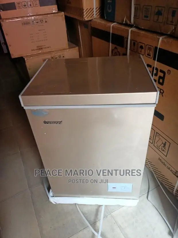 Snowsea Quality Deep Freezer 70L With 12months Warranty