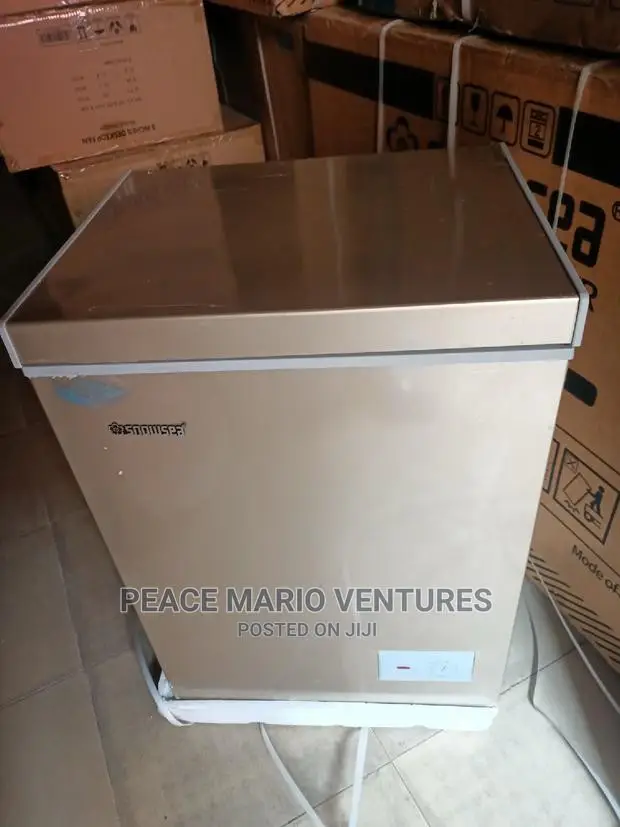 Snowsea Quality Deep Freezer 70L With 12months Warranty