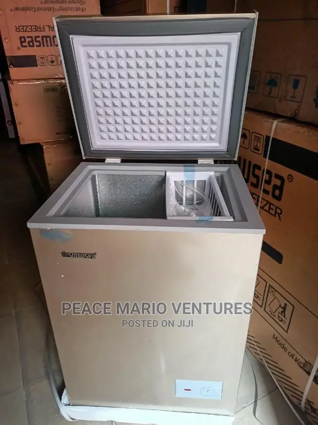Snowsea Quality Deep Freezer 70L With 12months Warranty