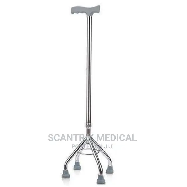 4 Leg Walking Stick