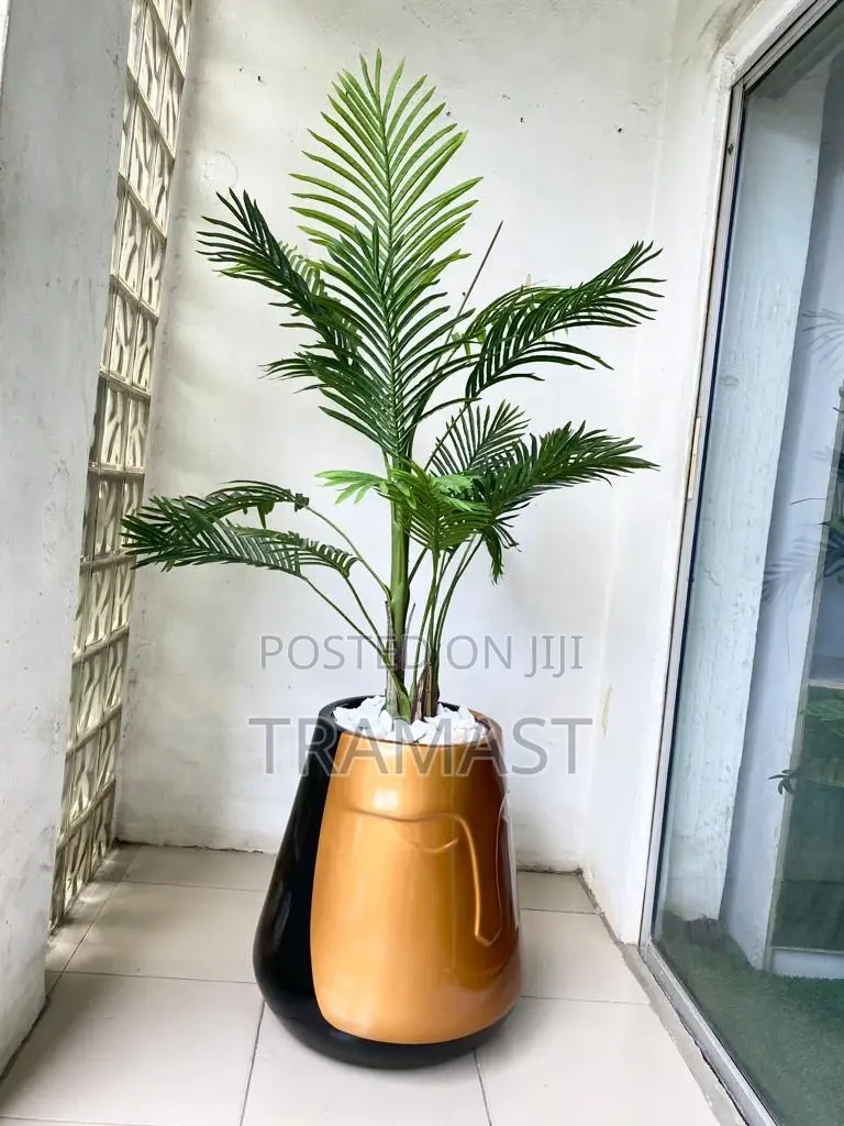Palm Plant and Fiberglass Pot Combo
