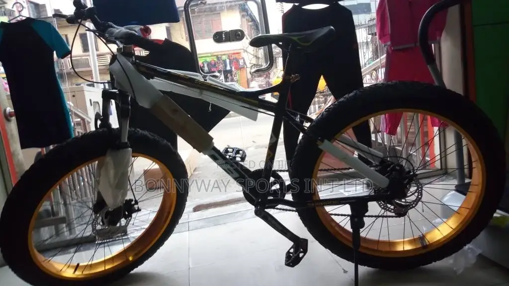 Adult Big Tires Exercise Riding Bicycle