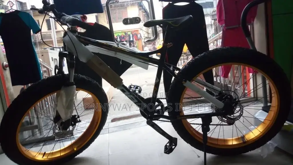 Adult Big Tires Exercise Riding Bicycle
