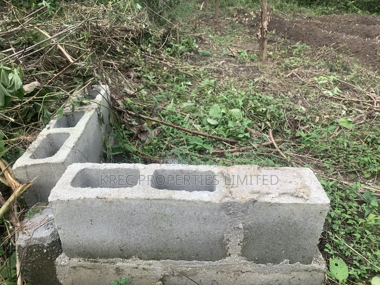 Sweet and Affordable Plot of Land in Isiokpo PH for SALE