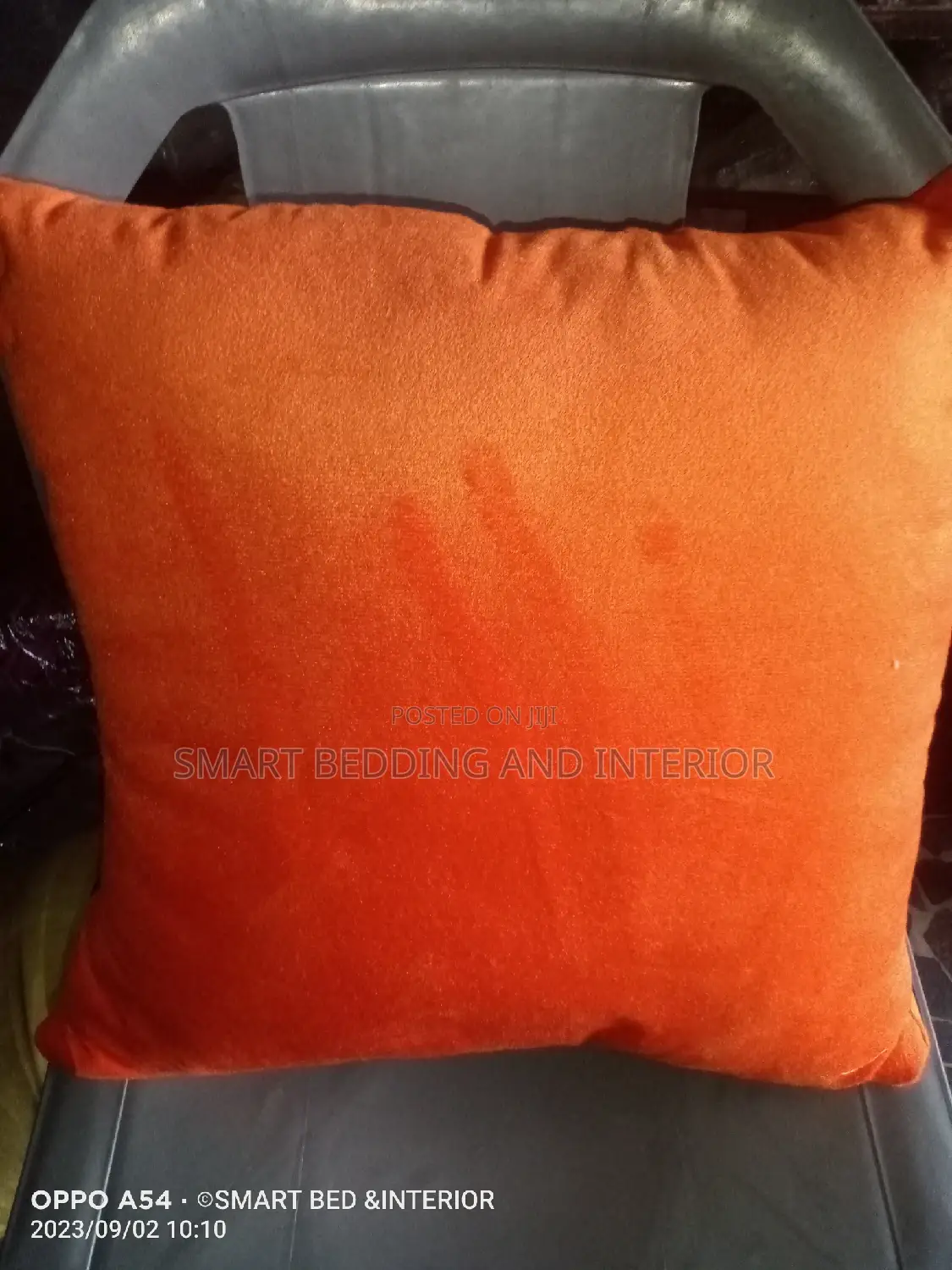 Throw Pillows