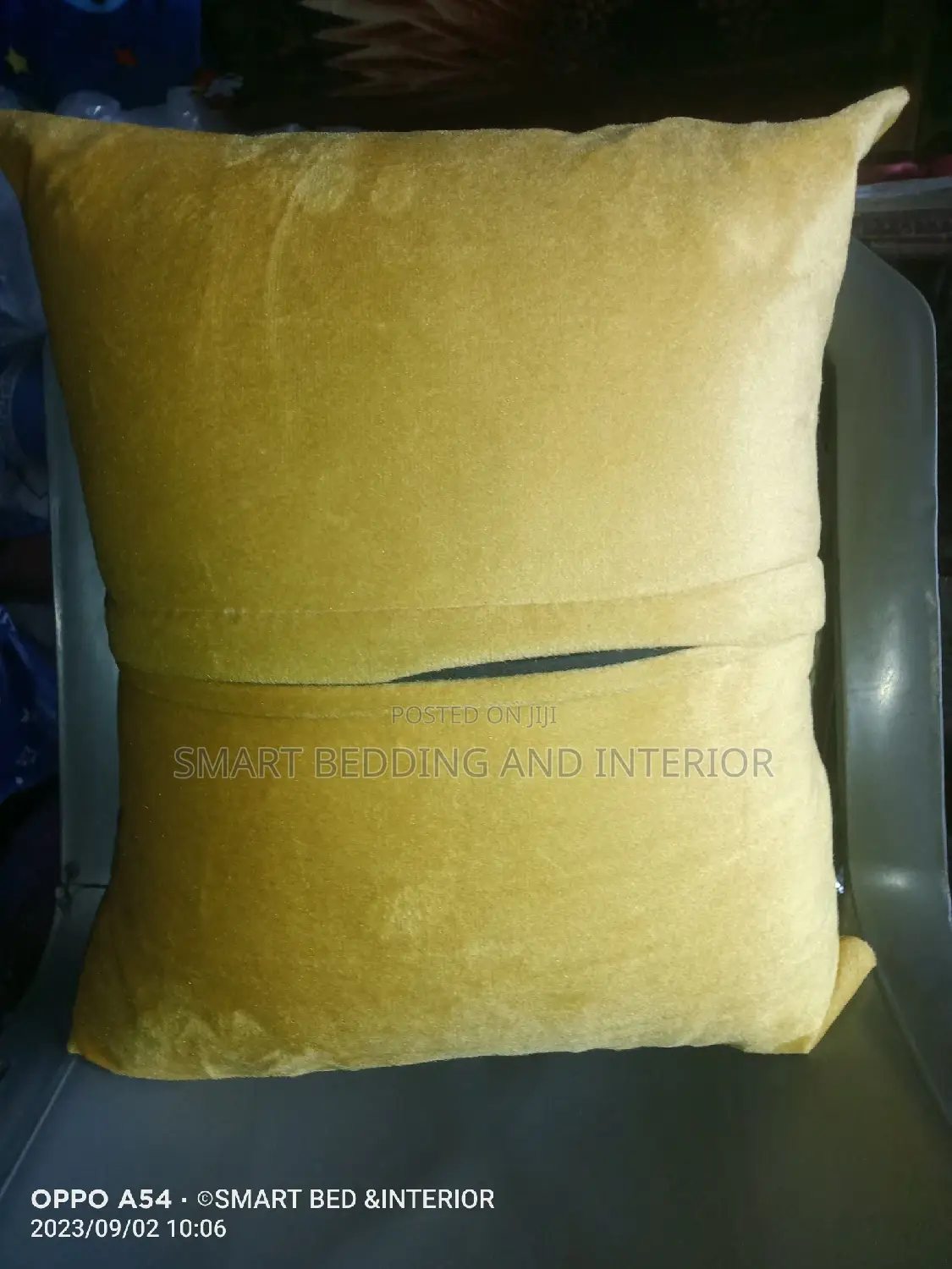 Throw Pillows