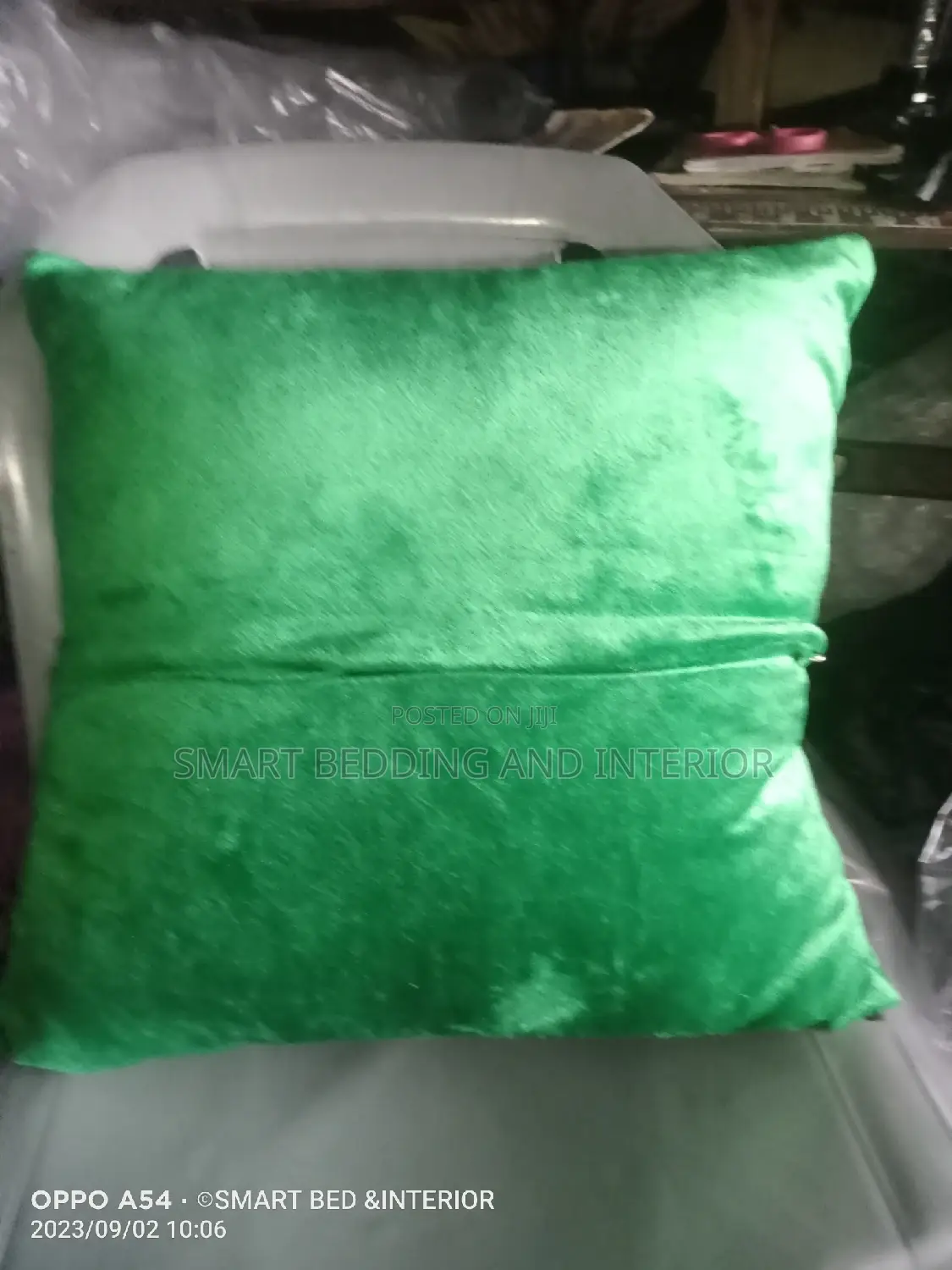 Throw Pillows