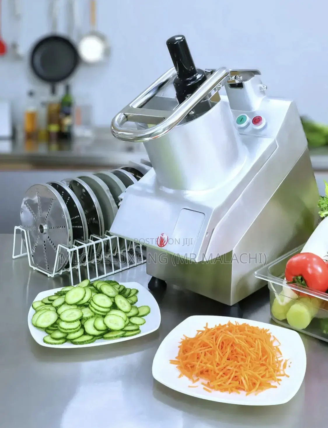 Electric Multi Purpose Food Processor/Slicing Machine (5b)