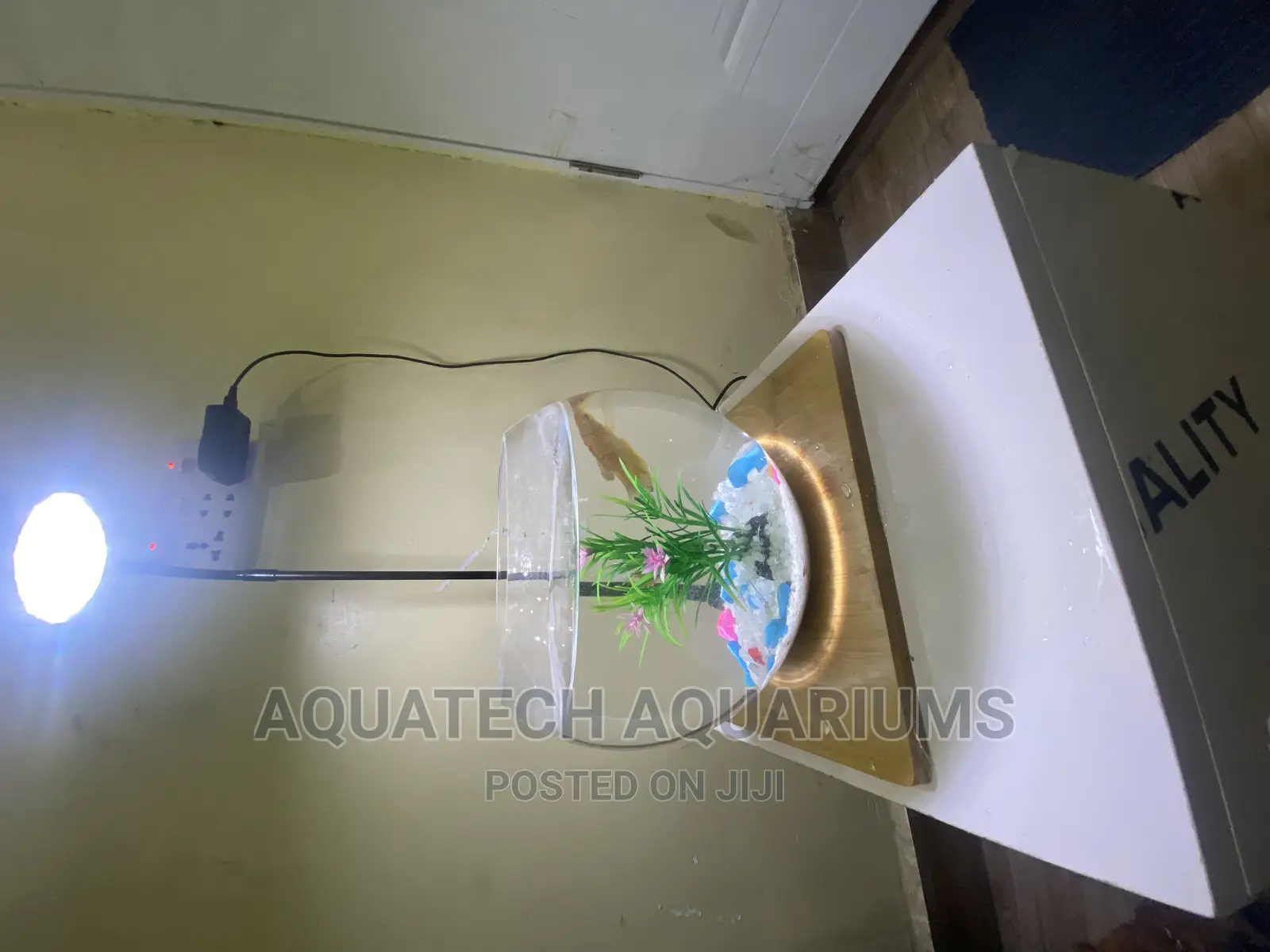 Fish Bowl With Light