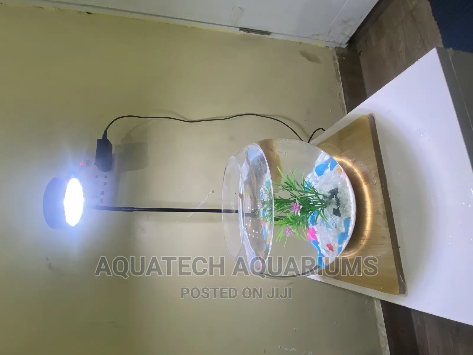 Fish Bowl With Light