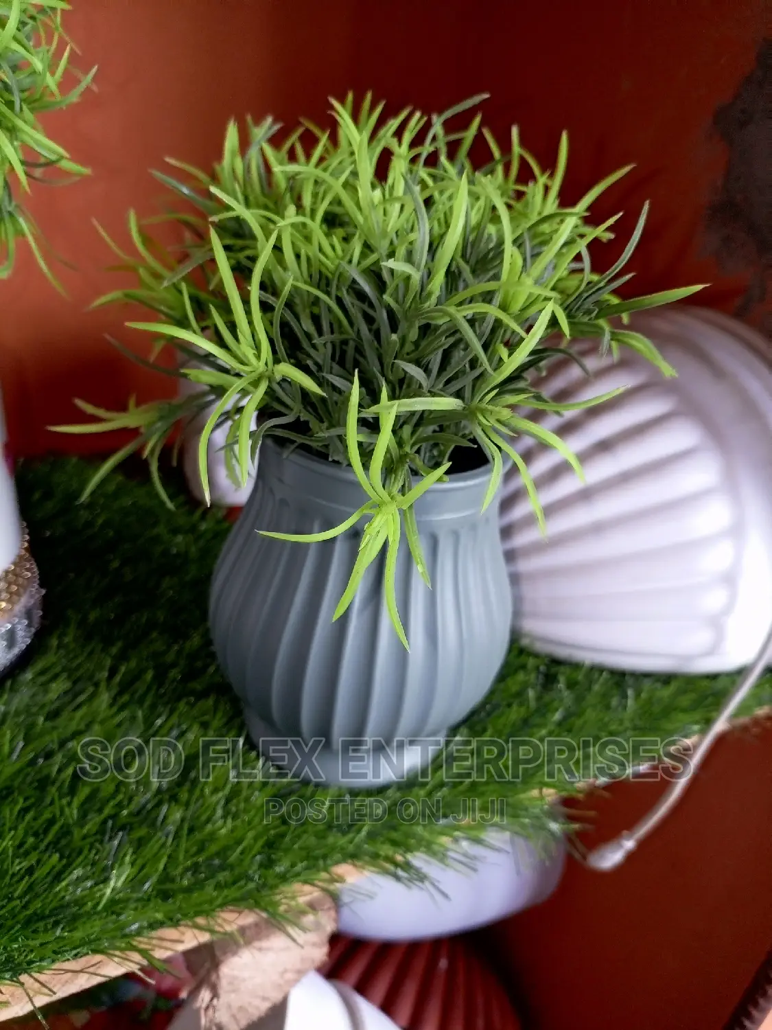 Beautiful Flowers, Pot And Stone