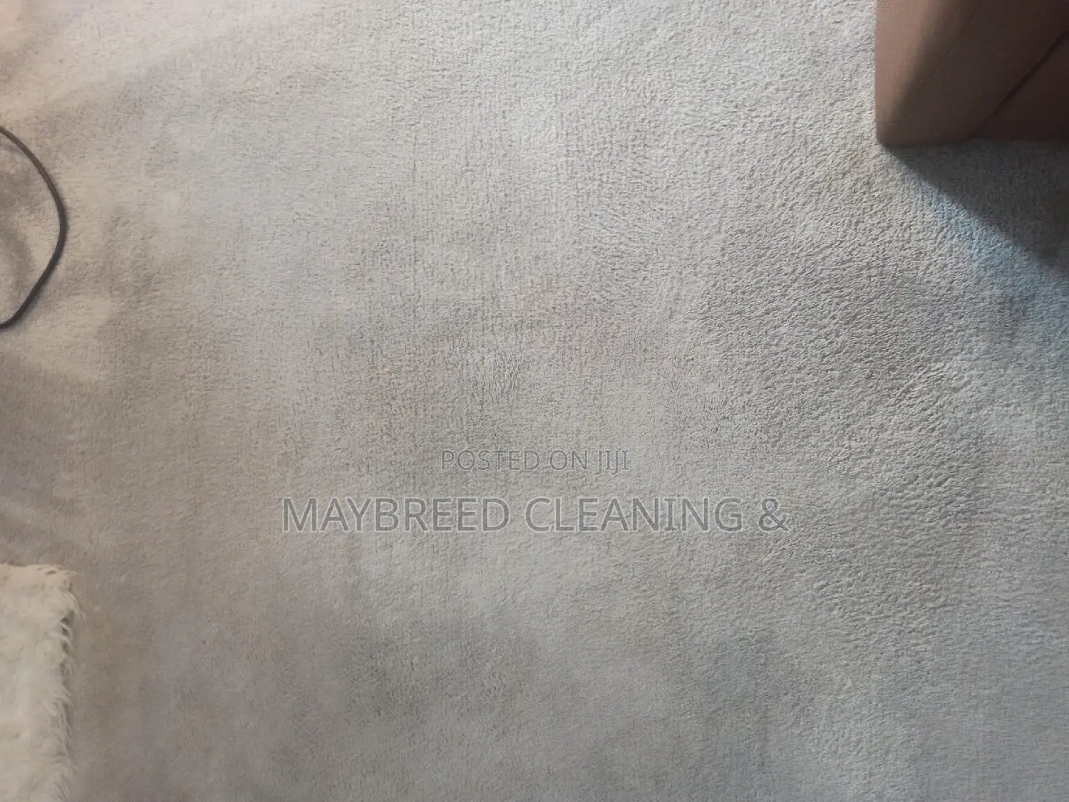 Superbb Couch and Rug Cleaning Services