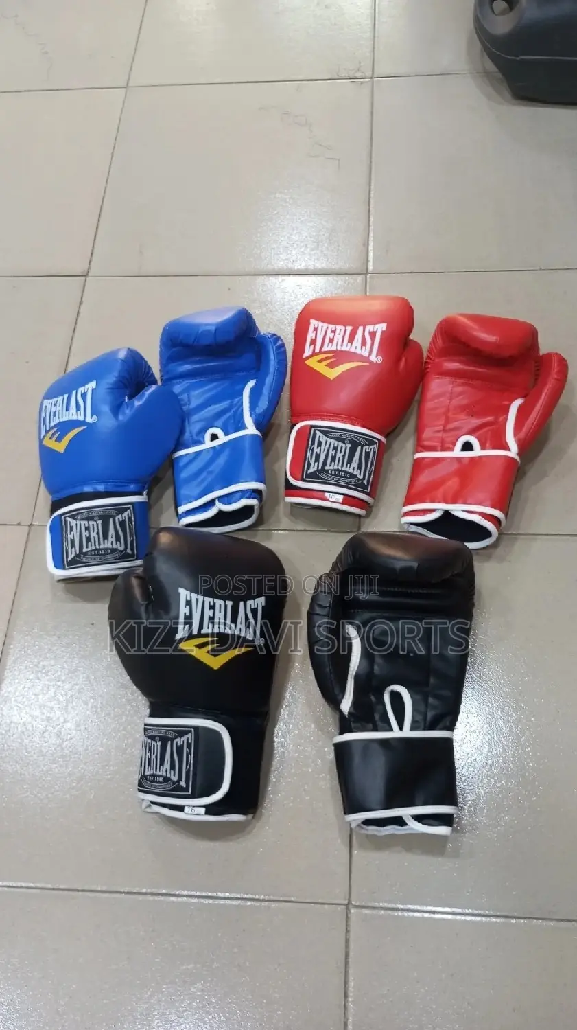 Everlast Boxing Gloves Good Quality